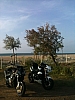 2013_4.jpg